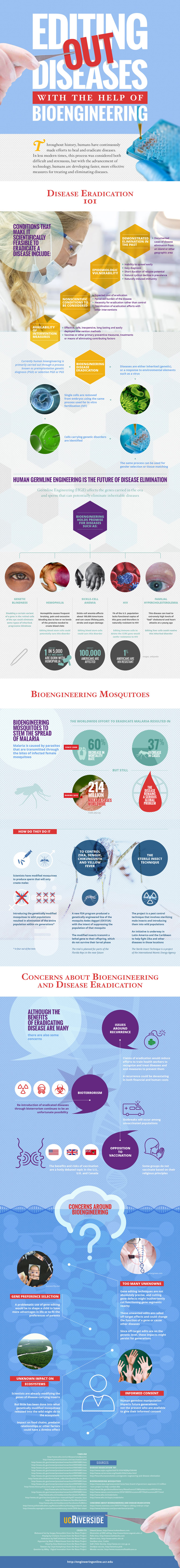 Bioengineering infographic