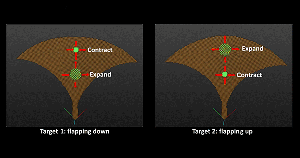 The soft mechanisms for flapping wings are embedded in the material by topology optimization. The wings of the ray are specified to flap up and down when vertices on its spine contract and expand. (The Computational Fabrication Group at MIT)
