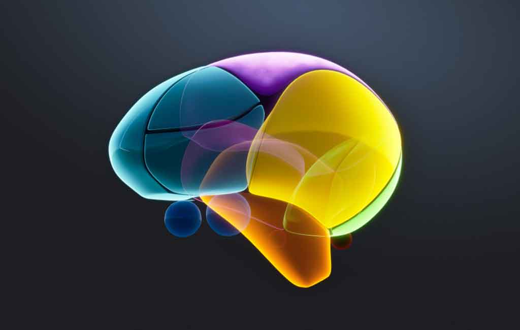 AI: Asinoid learns and evolves like the human brain