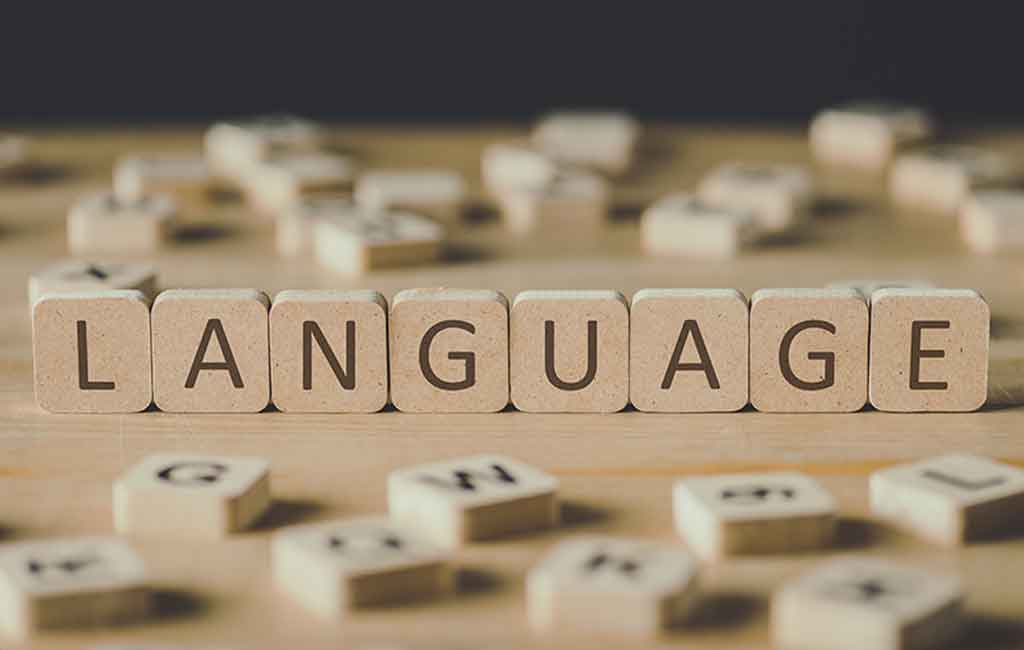 INWED 2025 webinar: making space for every voice