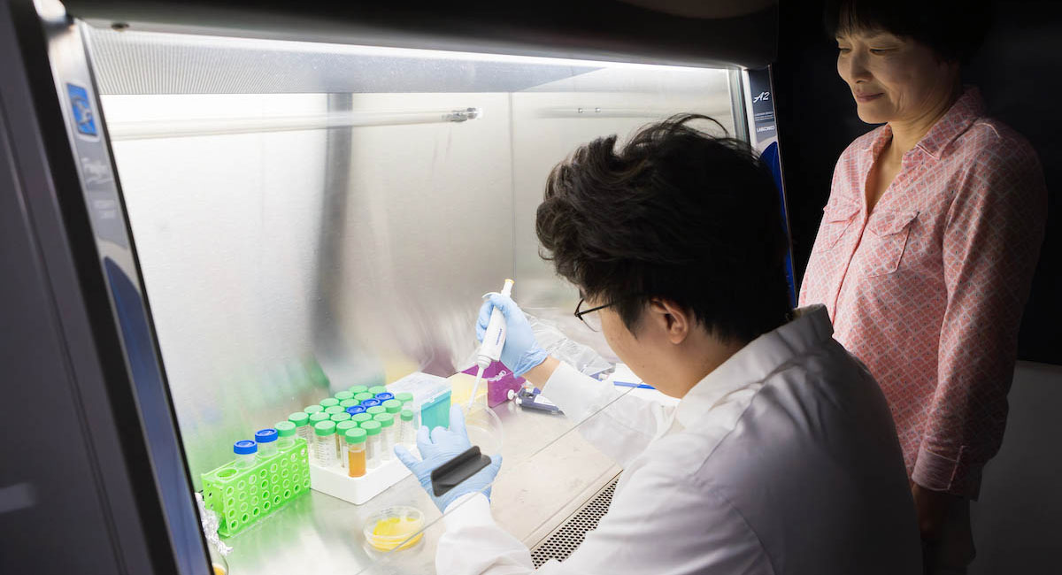 Turning food waste into biodegradable plastic