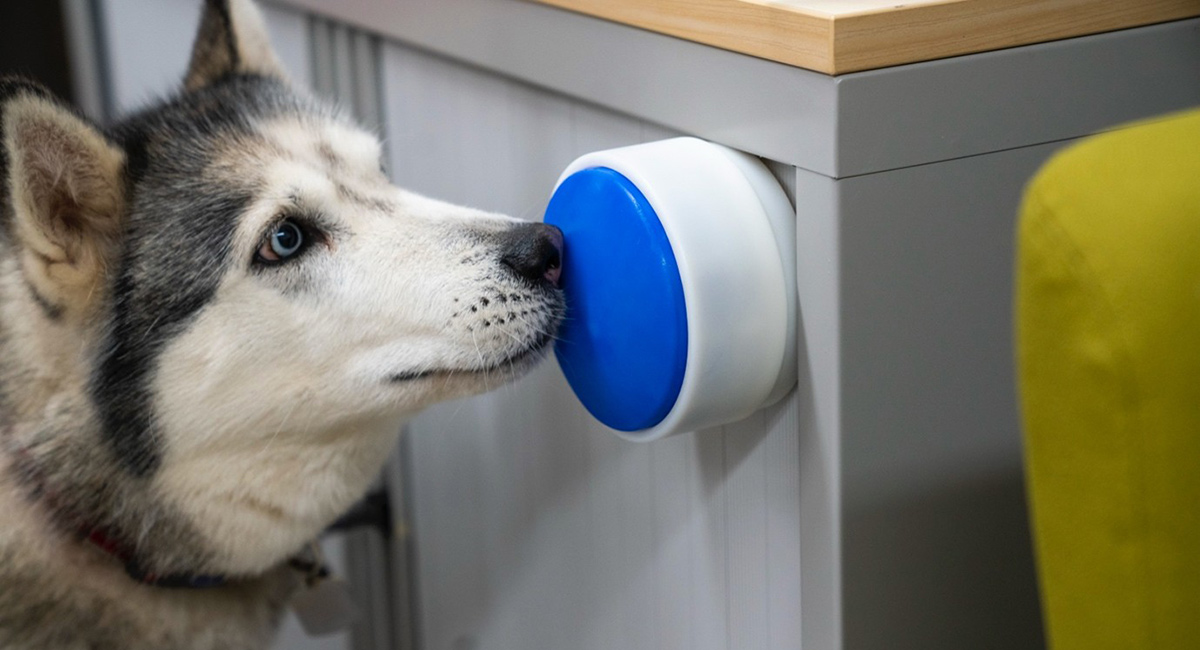 Kara with Dogosophy Button