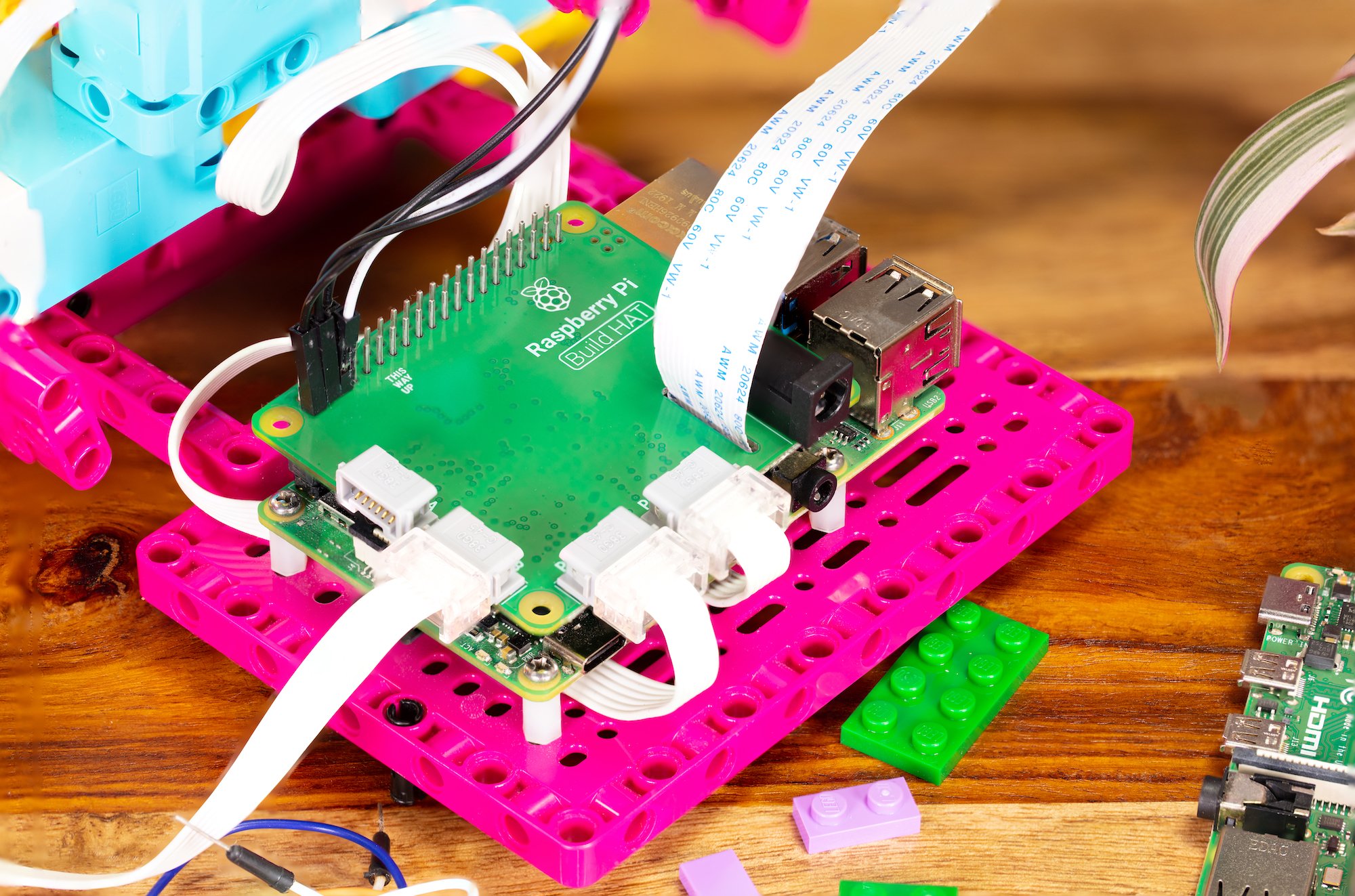 Photo of a Raspberry Pi with a Raspberry Pi Build HAT fitted, mounted by its mounting holes to a large, flat, bright pink LEGO element lying on a desk. Cables connect three of the Build HAT ports to LEGO devices out of shot, and a few other LEGO components are connected to or adjacent to the construction. A Raspberry Pi camera module connector is connected to the Raspberry Pi through a slot in the Build HAT.