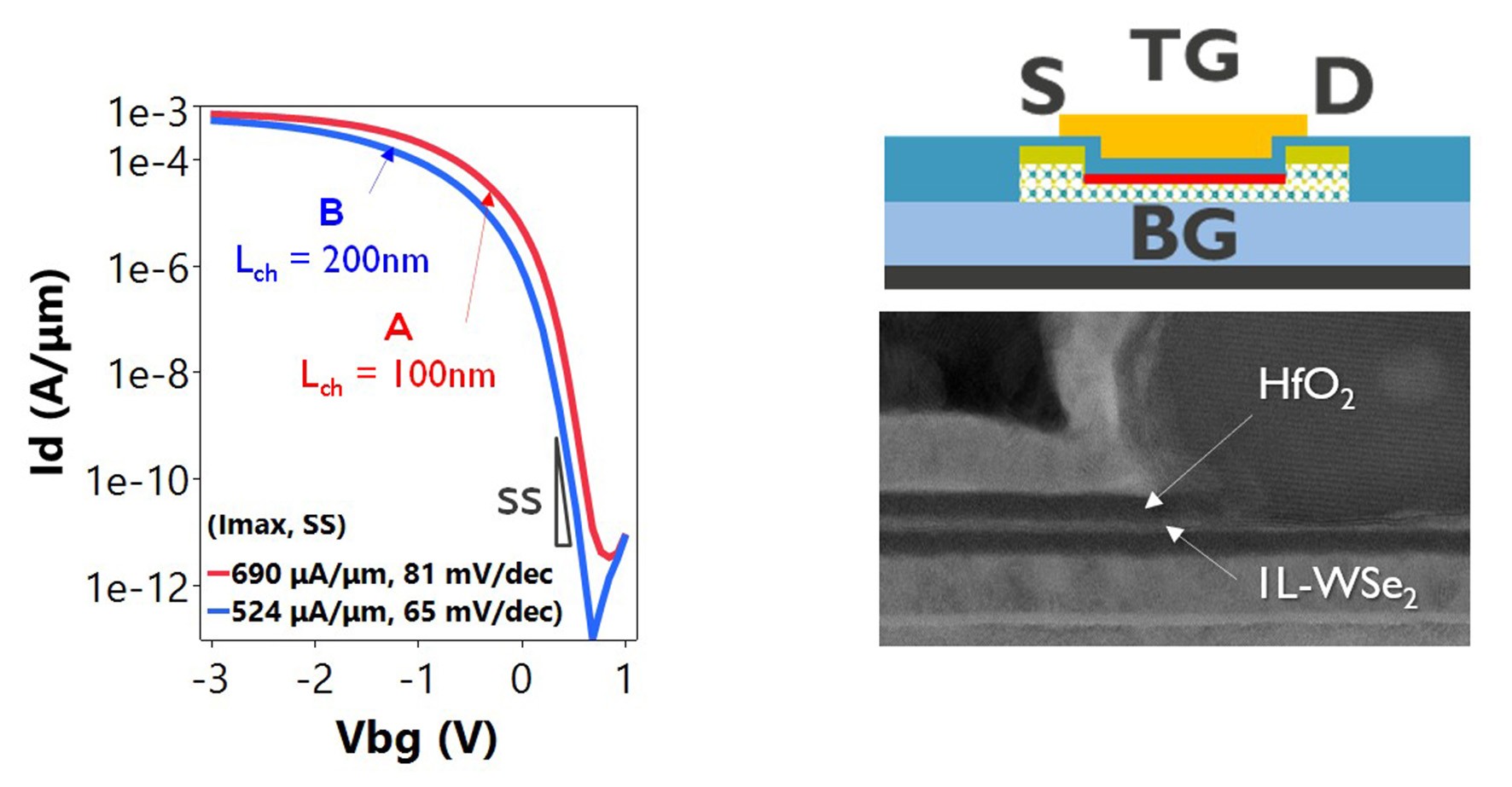 Figure 1 - Cross section and transfer curves of WSe2 devices