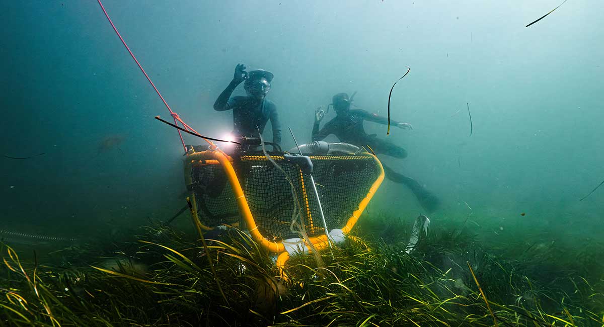 Tandem Ventures harvests the design capability of Onshape