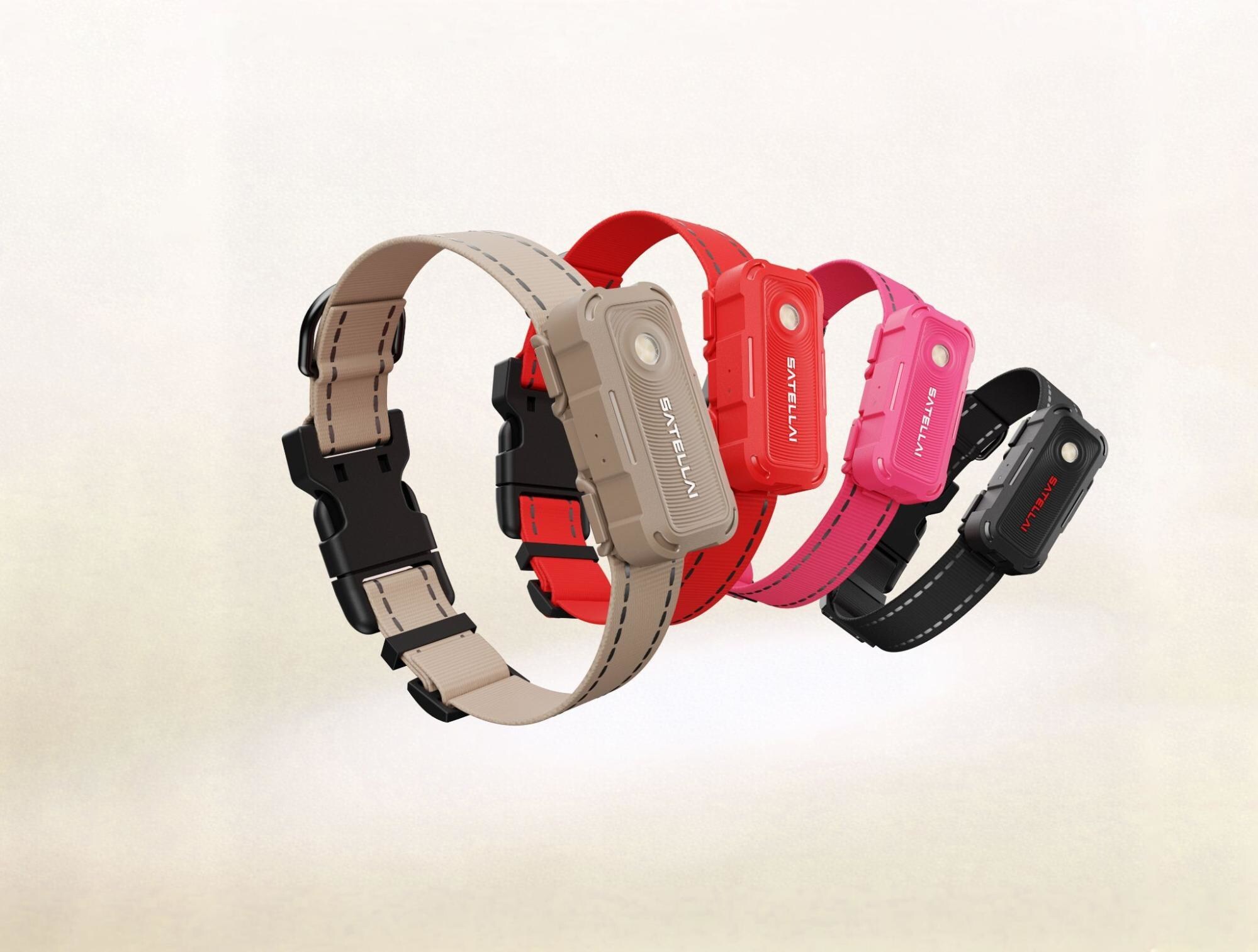 SATELLAI unveils the world's first multimodal AI for pets