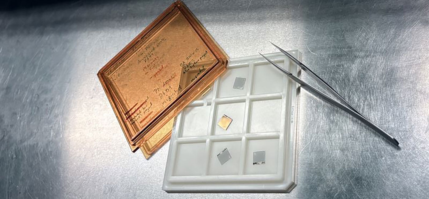 Chelmers University of Technology | Mia Hallerod Palmgren