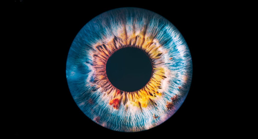 A biohybrid sensor that ‘sees’ like a retina