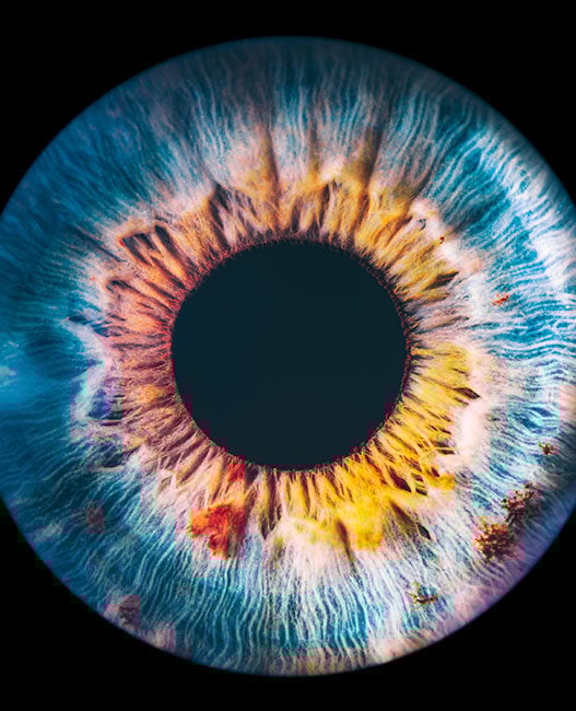 A biohybrid sensor that ‘sees’ like a retina