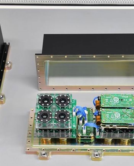 UK scientists to launch microscopic worms into space