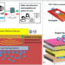 Implantable tech could cast new light on bladder cancer treatment