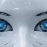 See-free PO: robots can’t see properly yet, but it’s coming